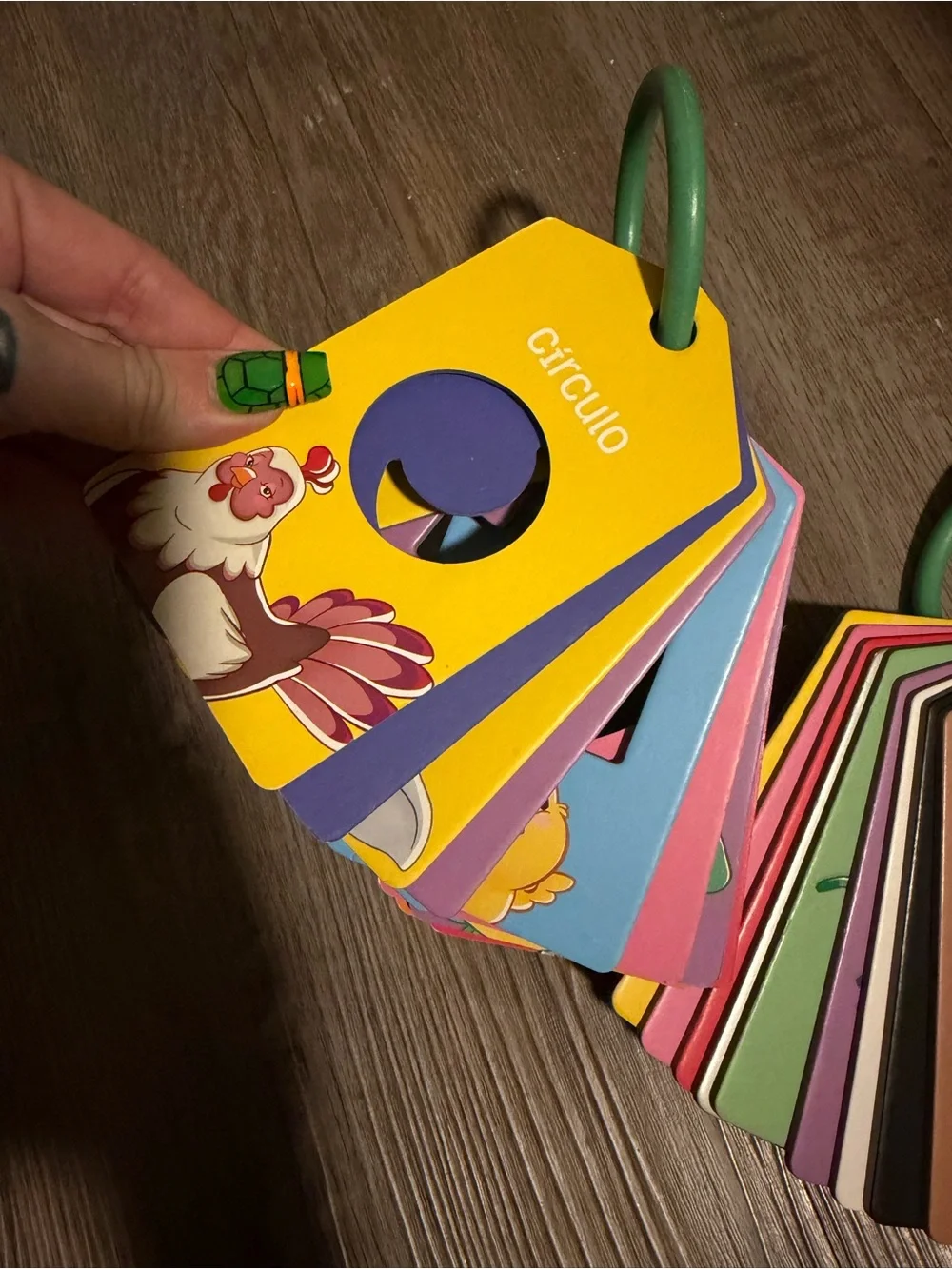 Kids Color & Shape Learning Cards - Multi-Color- like new